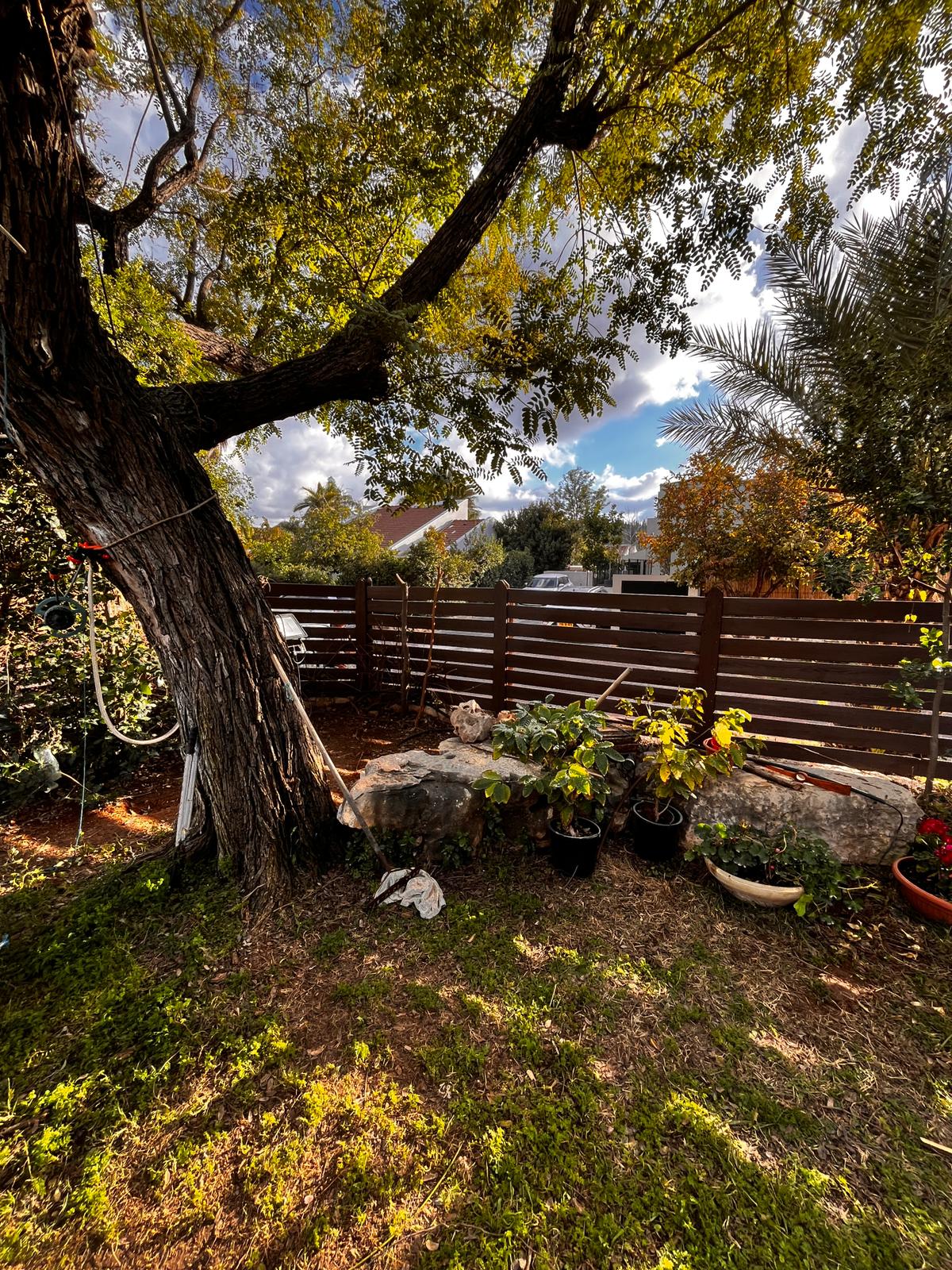 גדר עץ טבעית